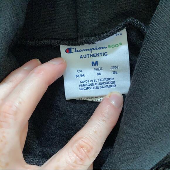 Champion x Annapurna Interactive Hoodie in Black - Picture 4 of 6